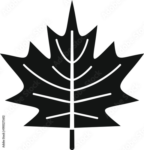 Maple leaf vector icon representing canadian identity and nature