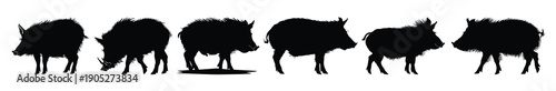 black boar silhouette clipart set 