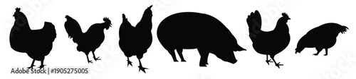 vector silhouette of domestic animals
