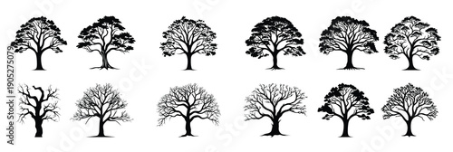 vintage forest pine trees silhouette vector set of pine