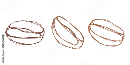 Set of hand drawn fresh roasted coffee bean Arabica robusta seed doodle Single element for design print packaging label decor