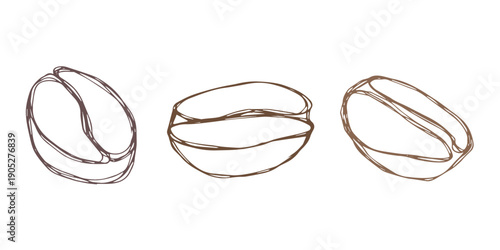 Set of hand drawn fresh roasted coffee bean Arabica robusta seed doodle Single element for design print packaging label decor