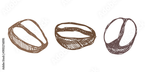 Set of hand drawn fresh roasted coffee bean Arabica robusta seed doodle Single element for design print packaging label decor