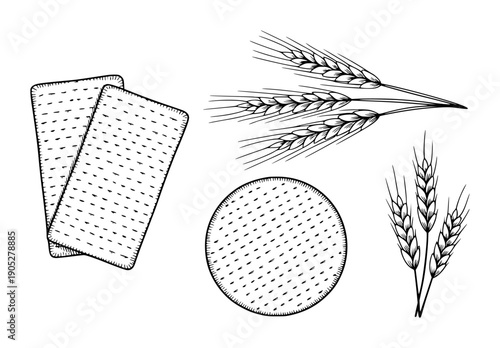 Hand Drawn Matzah Crackers and Wheat Stalks White Background grain