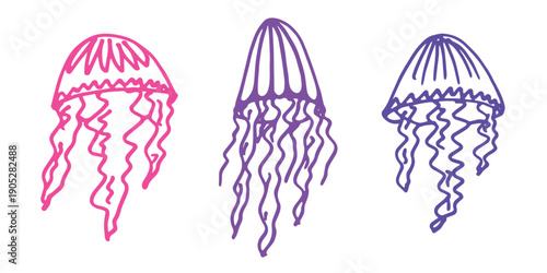 Set of hand drawn jellyfish doodle Sea animal illustration Cute marine underwater creature Medusa sketch clipart Single element for web, design, decor, children's print