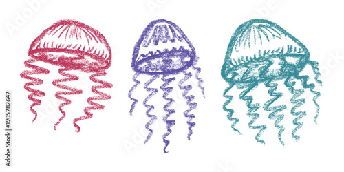 Set of hand drawn jellyfish doodle Sea animal illustration Cute marine underwater creature Medusa sketch clipart Single element for web, design, decor, children's print