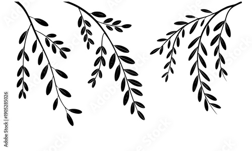 Black Hanging Willow Branch Silhouette with Leaves Isolated on White Background for Botanical Border Design, Nature Decoration, and Elegant Floral Frame Graphics