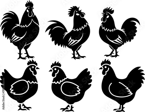 Collection of rooster and hen silhouettes in various poses and views, poultry illustration