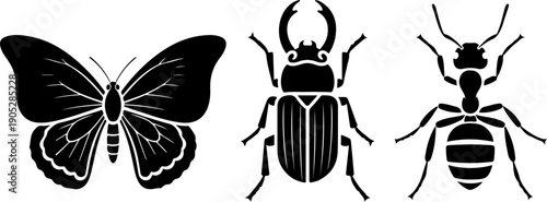 Illustration of insects including butterfly, beetle, and bug in a simple graphic style
