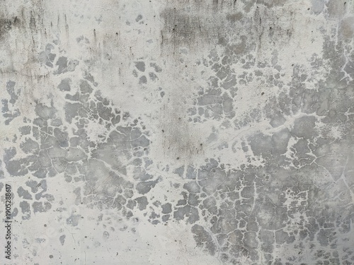 Wallpaper Mural High-resolution texture of a weathered concrete wall with gray stains and cracked patterns. Perfect for industrial designs and minimalist backdrops. Torontodigital.ca