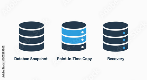 Database Icons: Snapshot, Point-In-Time Copy, and Recovery