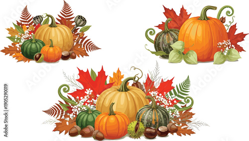 Detailed autumn pumpkin harvest set with heirloom squash red maple leaves acorns and chestnuts for seasonal floral branding