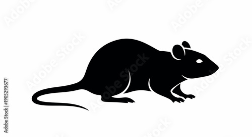 Black silhouette of a mouse on a white background, side view, simple graphic illustration.