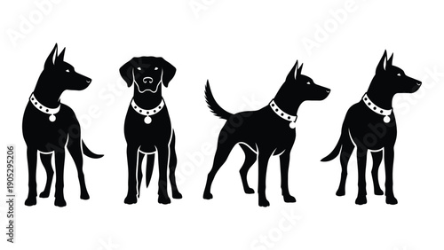 Four different dog breeds illustrated in black silhouettes with collars Vector