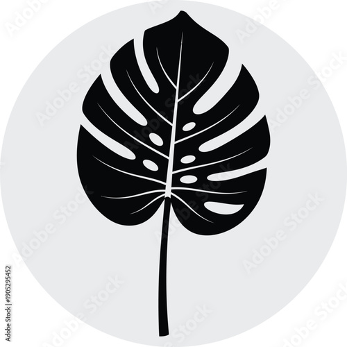 Monstera leaf silhouette in a circle