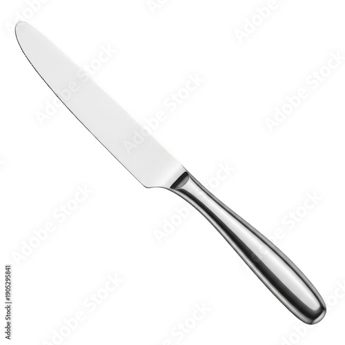 Modern stainless steel table knife
