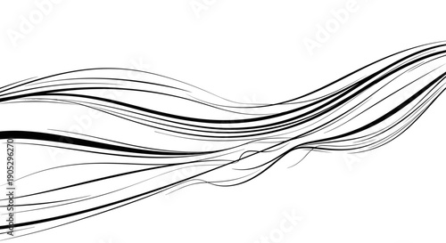 Abstract Black Lines Flowing Gracefully Across White Background.