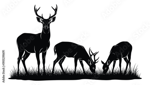 Three deer silhouettes grazing in a grassy field with one standing majestically. Vector