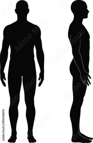 Human body silhouette front and side view illustration, black vector figure posture design for anatomy, medical, fashion, ergonomic, creative projects