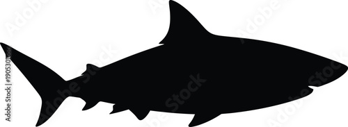 Silhouette of a shark swimming in the ocean viewed from the side