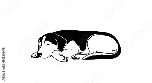 Black and white illustration of a sleeping dog.