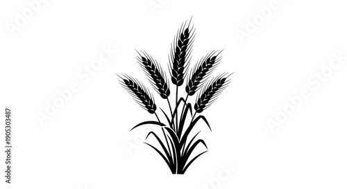 Black and White Illustration of Wheat Stalks.
