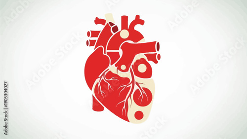 A stylized illustration of a red and white anatomical heart, symbolizing health and life, with a subtle yin-yang design integrated into its chambers