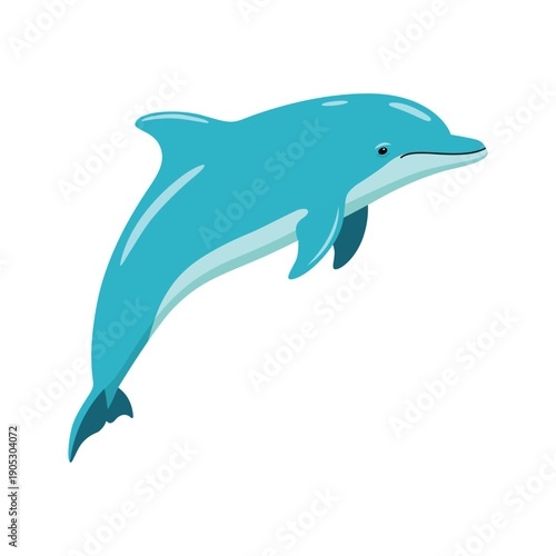 Dolphin flat vector illustration isolated on white background