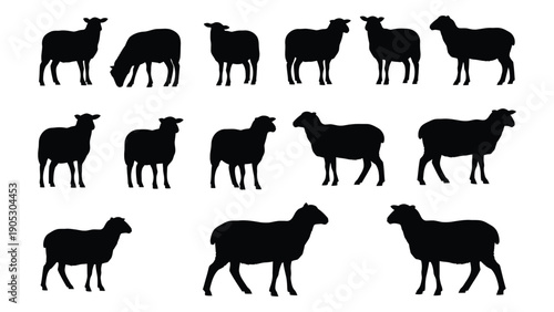 A collection of twelve black silhouette sheep in various poses and positions Vector