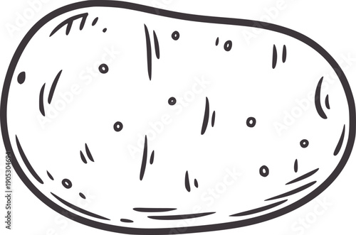 Hand drawn of a single potato with dark outline and subtle texture handdrawn simple