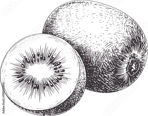 Monochromatic of a whole kiwi fruit and a sliced kiwi vintage food