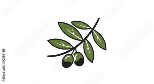 Olive branch with green leaves and two olives simple vector illustration isolated on white background symbolizing peace and harmony