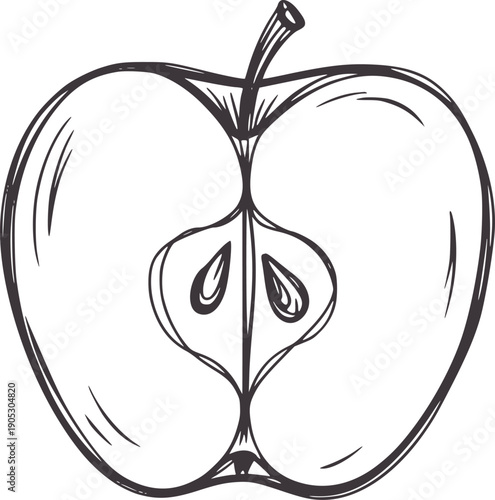 Minimalist pen ink of a halved apple showing seeds and stem fruit