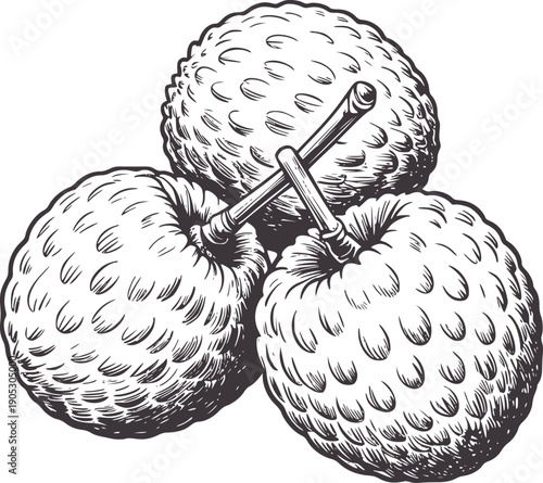 Three textured round fruits with crossed stems pencil stemmed