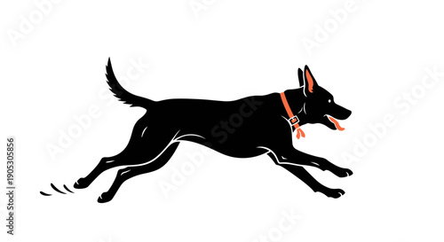 Black Dog Running with Red Collar and Tongue Out.