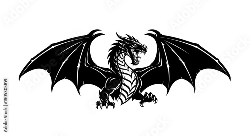 Black Dragon with Wings Spread Wide Open.