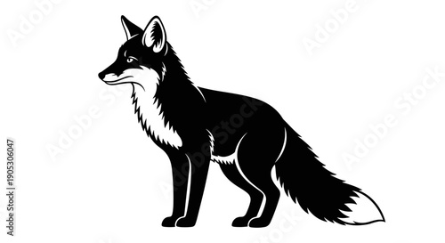 Black Fox Standing Alertly on White Background Illustration.