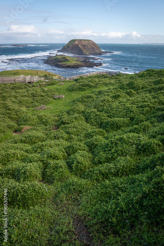 coast of the island