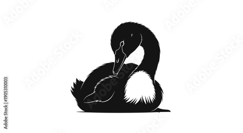 Black silhouette of a goose grooming its feathers.