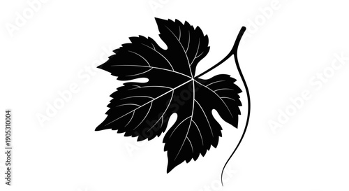 Black Silhouette of a Grape Leaf with Stem.