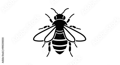 Black Silhouette of a Honey Bee Insect Top View.