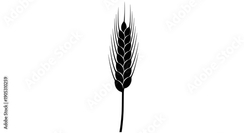 Black Silhouette of a Wheat Ear on White Background.