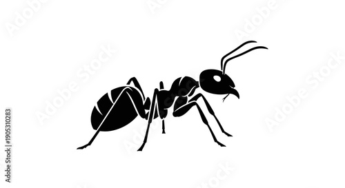 Black Silhouette of an Ant on a White Background.
