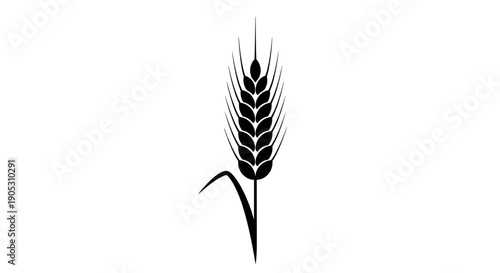 Black Silhouette of a Wheat Stalk with Grains.