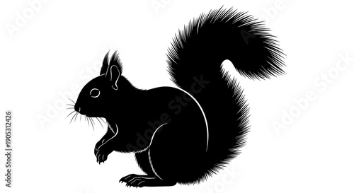 Black Squirrel Silhouette Illustration Detailed Fur Texture.