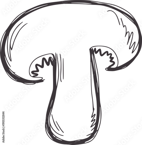 Minimalist pen and ink of a single mushroom cross section food ingredient