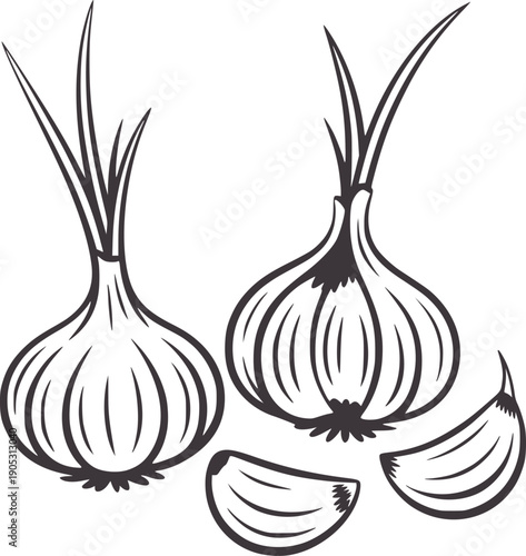Two whole garlic bulbs and three cloves in a simple line food ingredient