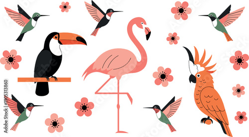 Tropical bird illustration set with flamingo toucan parrots hummingbirds and floral elements in colorful flat style for summer nature and exotic wildlife designs