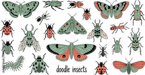 Hand drawn insect illustration set with beetles ladybugs moths flies and doodle style bugs for nature education and decorative design projects