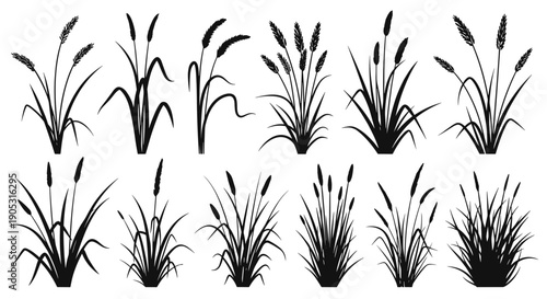 Collection of Black Silhouettes of Cattail Plants.